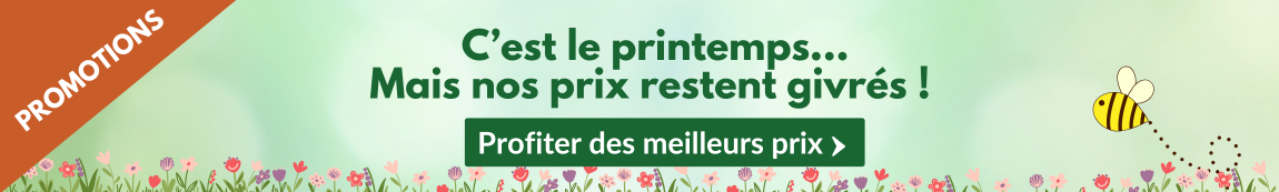 TARIFS BASSE SAISON BOIS BUCHE MOLINARIO